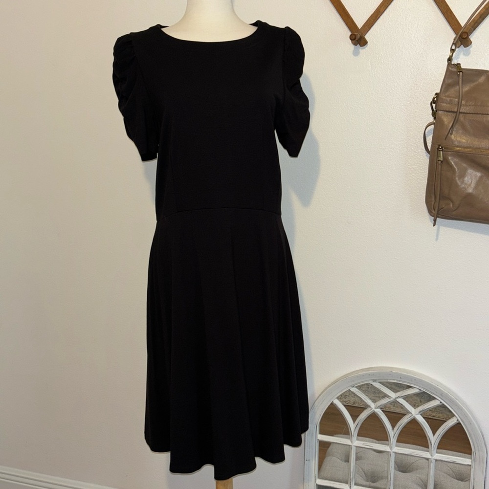 Loft Size Large Tall Dress NWT